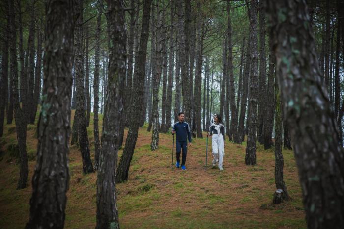 the manor wellness and sport hotel