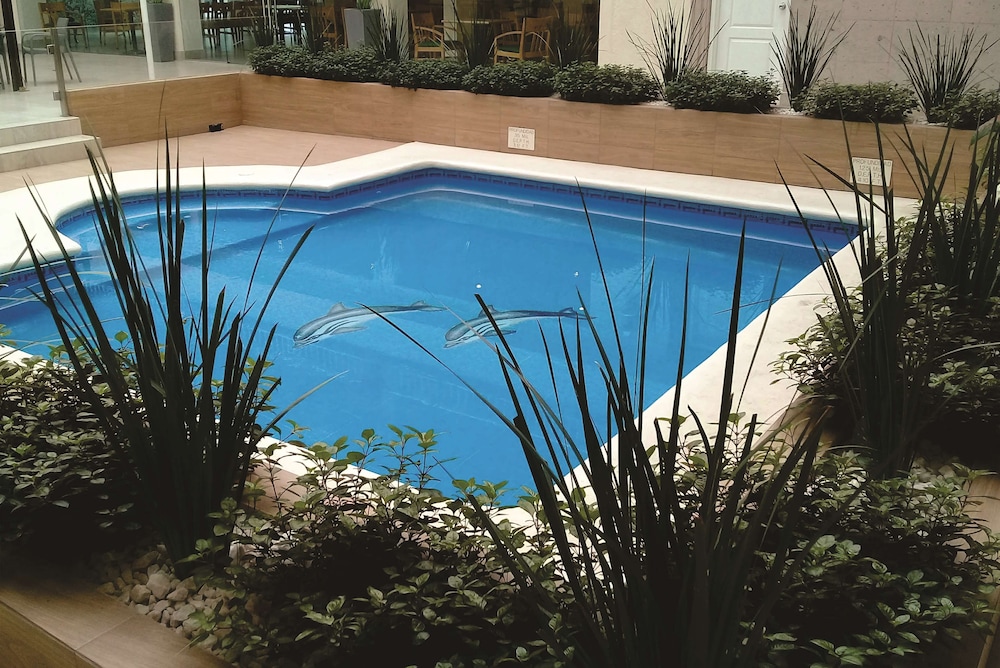 best western plus monterrey colon
