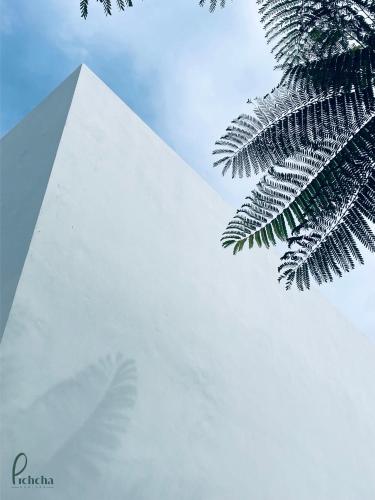 pichcha kohlarn