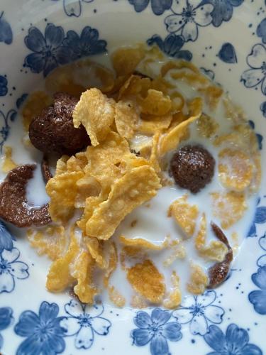 baan ing dao maekampong chiang mai