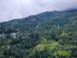 amaya retreat cottage