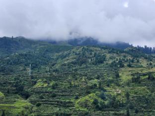 amaya retreat cottage