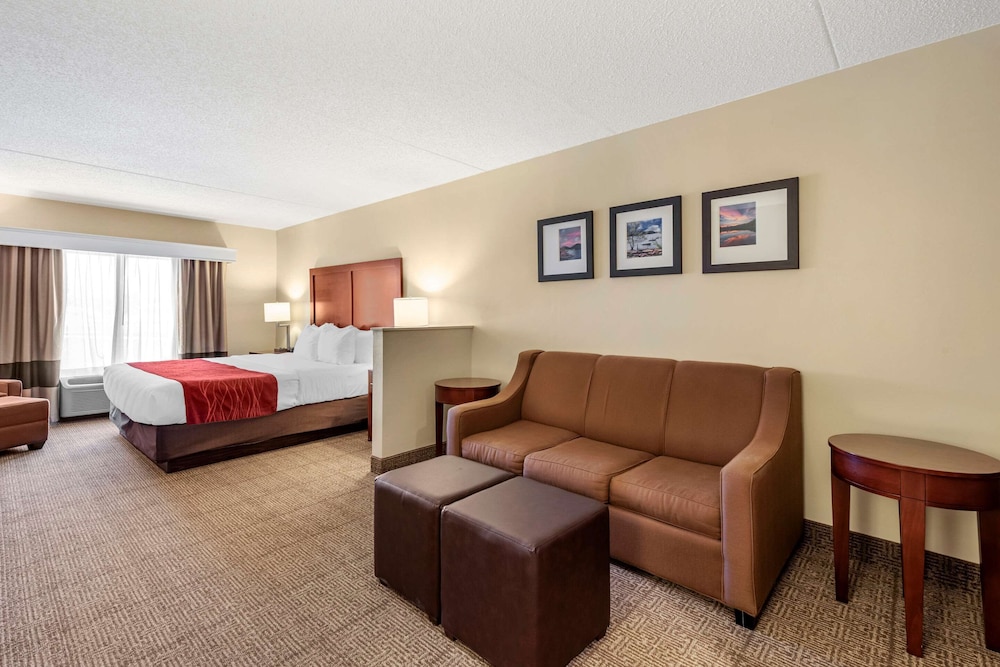 comfort inn and suites