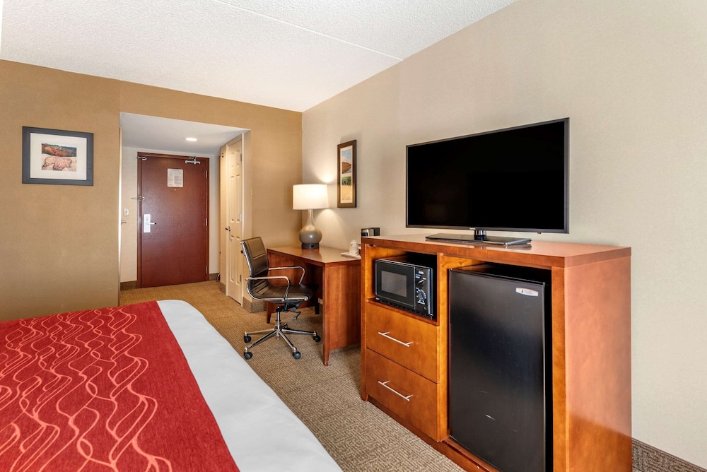 comfort inn and suites