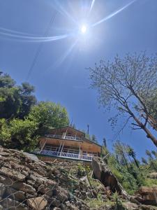 jibhi