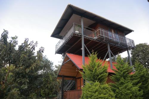 coorg riverness resort