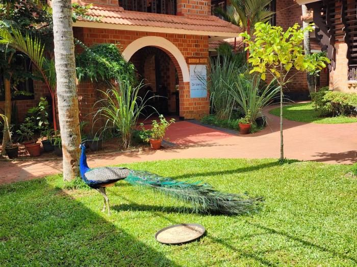 gods own country resort by bestinn leisure