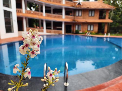 gods own country resort by bestinn leisure