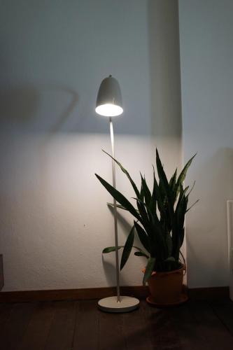 the shore koh chang boutique resort