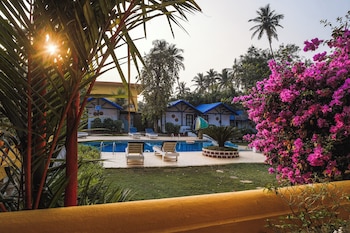 hibis resort ashwem goa