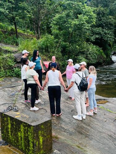 Forestscape Resort Munnar,,3 star