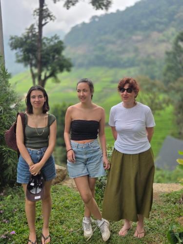 Forestscape Resort Munnar,,3 star