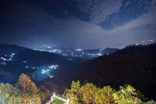 koro treehouse resort