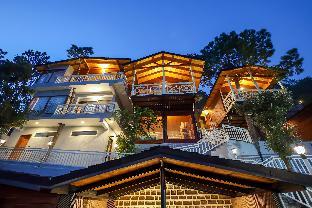 koro treehouse resort