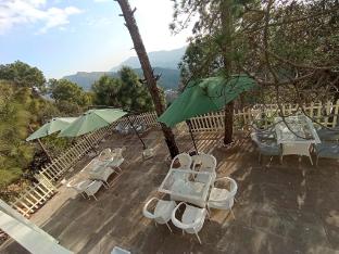 koro treehouse resort