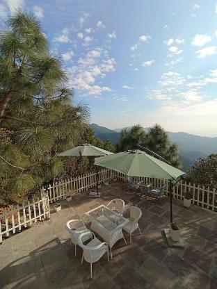 koro treehouse resort