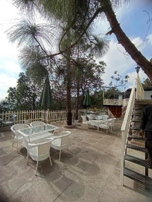 koro treehouse resort