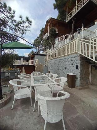 koro treehouse resort