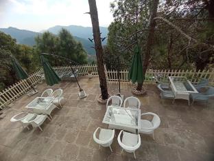 koro treehouse resort