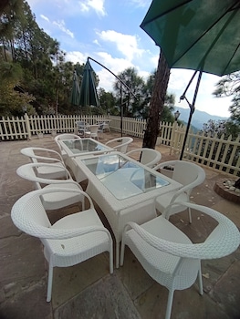 koro treehouse resort