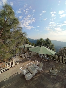 koro treehouse resort