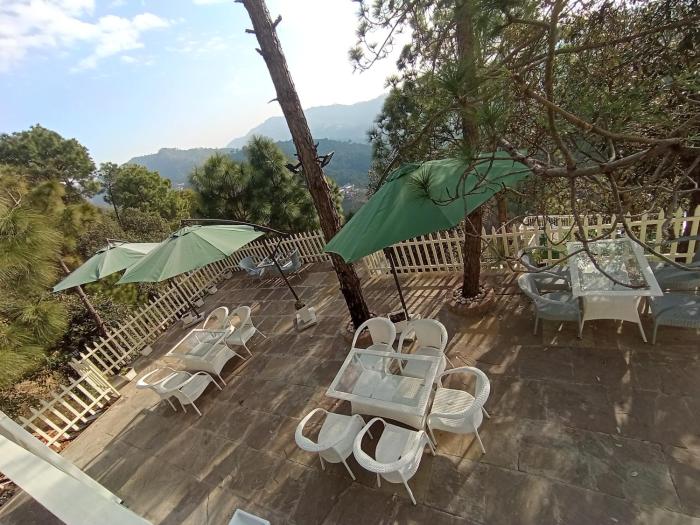 koro treehouse resort