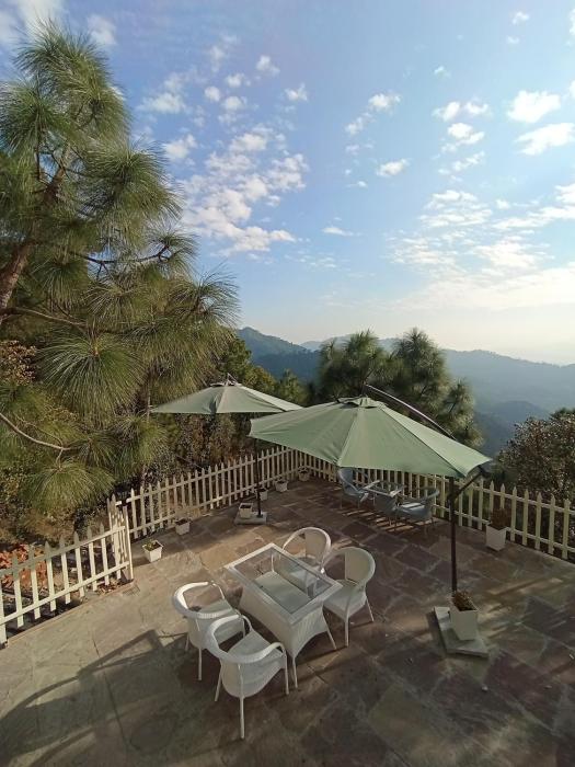 koro treehouse resort