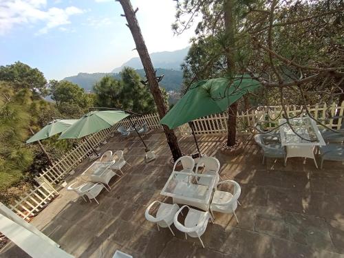 koro treehouse resort