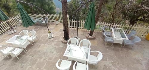 koro treehouse resort