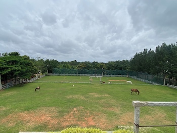 satya anantham nature retreat