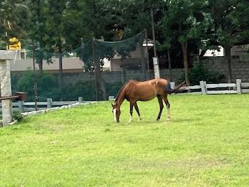 satya anantham nature retreat