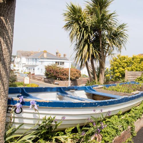 paignton