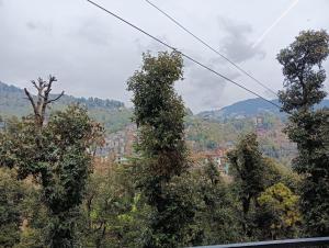 shimla