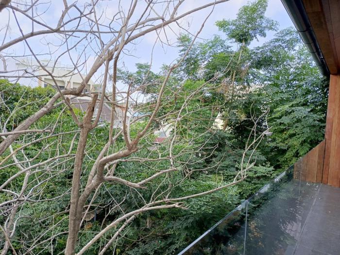 kluenngam cafe and stay
