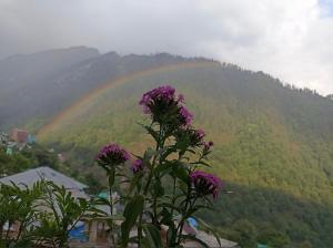 aditya guest house