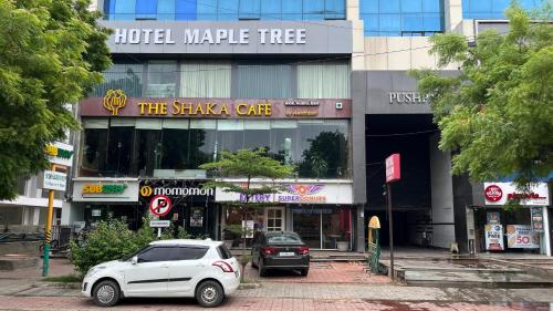 hotelmaple tree