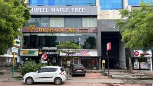 hotelmaple tree
