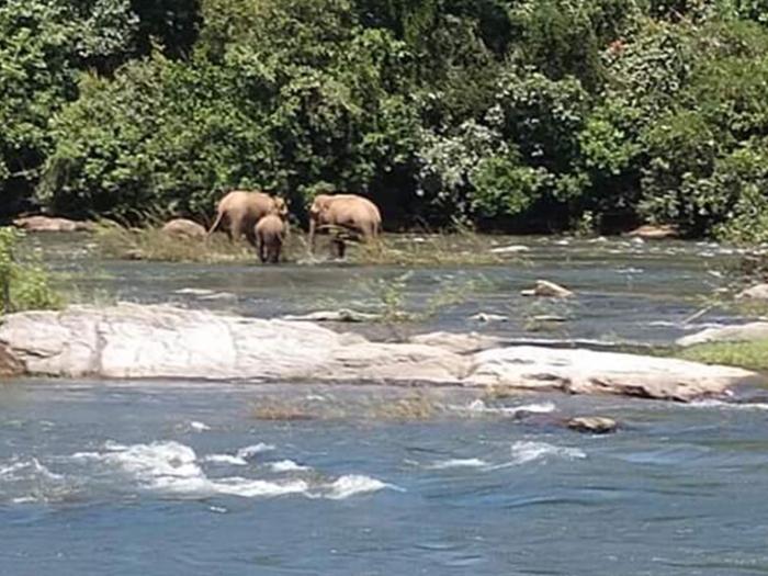 crystal riverview homestay