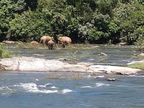 crystal riverview homestay