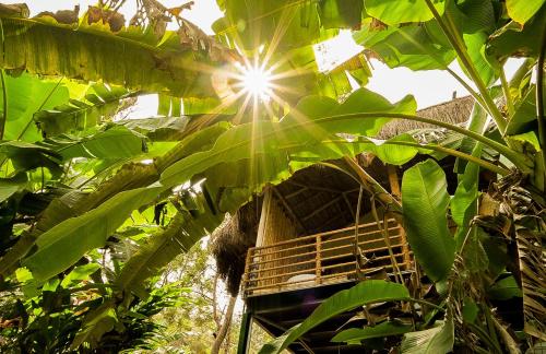 the soul marayoor mudhouse munnar