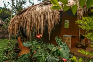 the soul marayoor mudhouse munnar