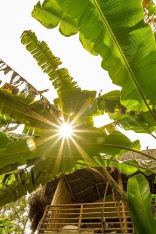 the soul marayoor mudhouse munnar