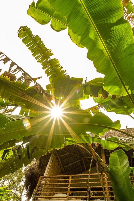 the soul marayoor mudhouse munnar