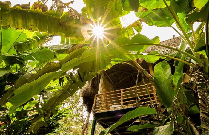 the soul marayoor mudhouse munnar