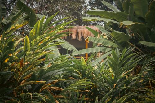 maraiyur