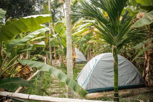 maraiyur