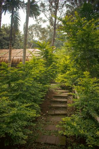 the soul marayoor mudhouse munnar