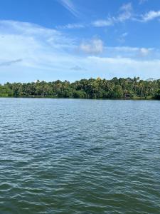 lavilla lake resort and restaurant