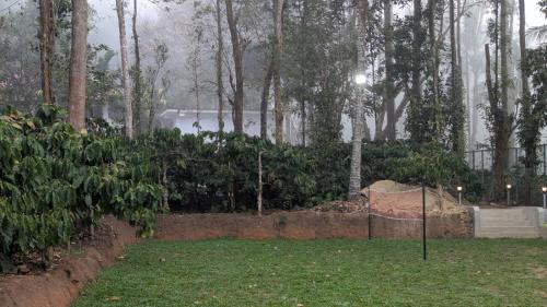 coorg orange blossom resort and spa