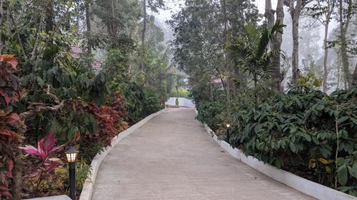 coorg orange blossom resort and spa